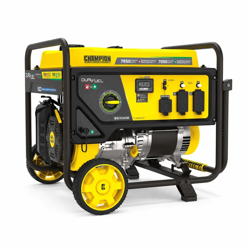 Champion 201463 — Dual-Fuel Portable Generator, Recoil Start — product photograph